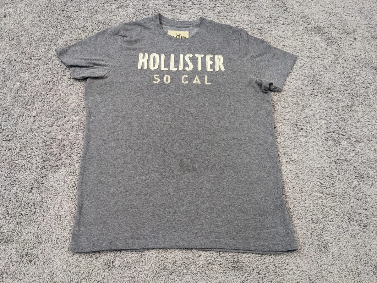 Hollister T Shirt Mens Extra Large Gray Casual SO CAL