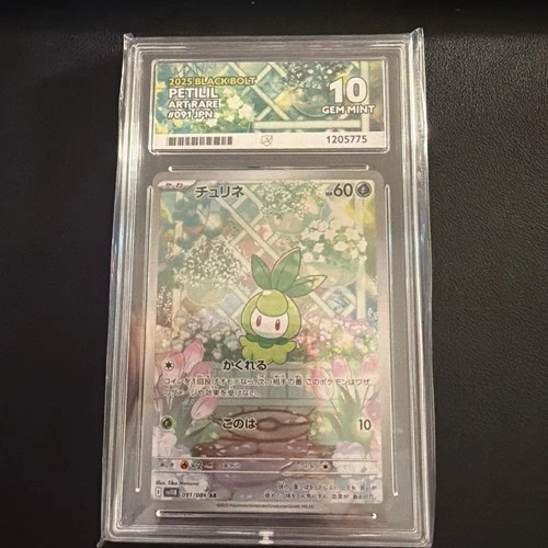 091|086 | Petilil | Japanese SV11B Black Bolt | Art Rare - GRADED ACE 10