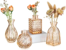 Glass Bud Vases for Centerpieces: Small Flower Vase Set of 4 Vintage Cute Mini V