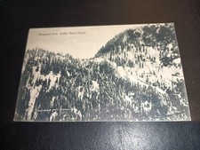 Snowy / Winter Scene From Nathia Road, DUNGAGALI, Pakistan