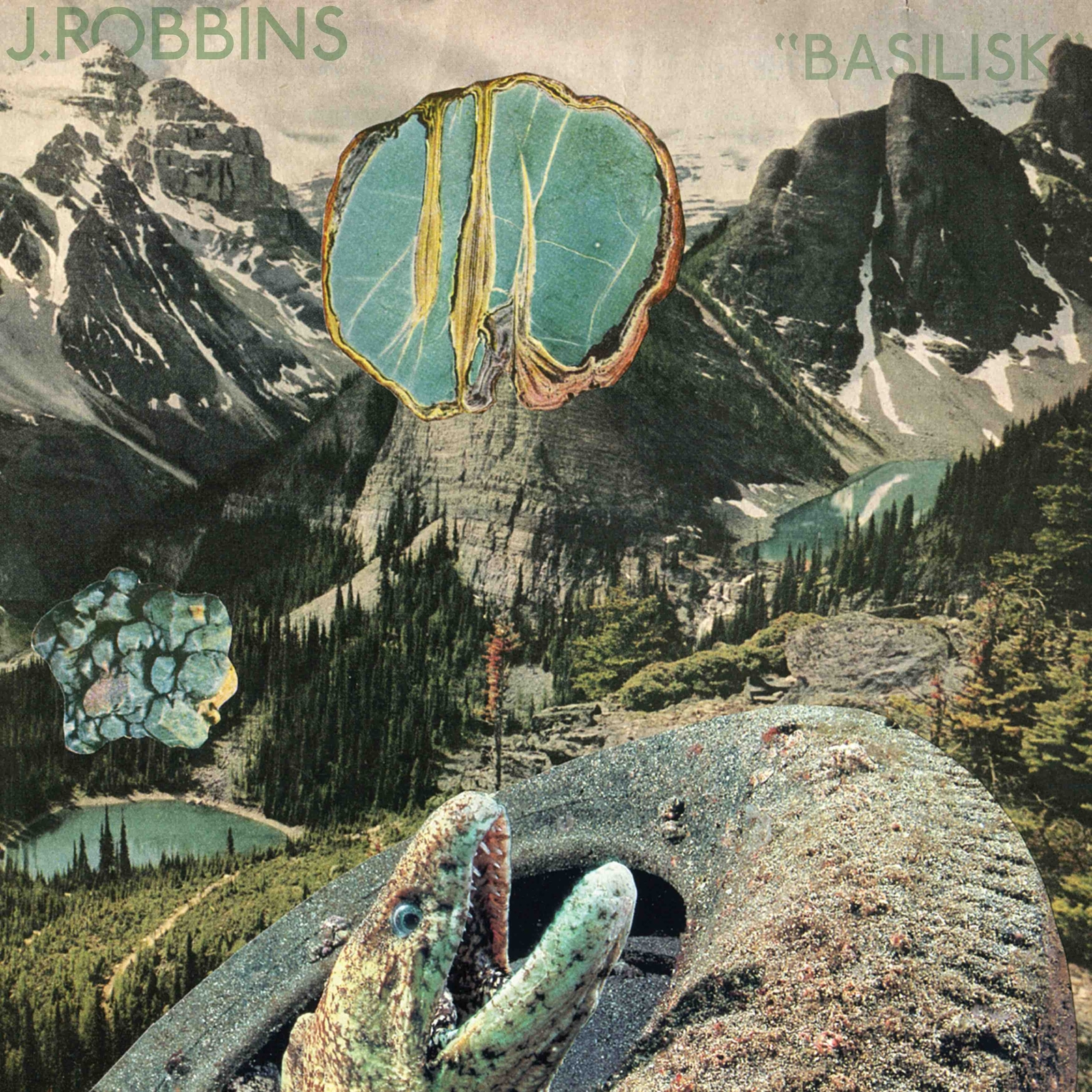 J. Robbins Basilisk (Vinyl LP) 12" Album