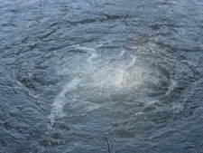 BIG MAX Large Pond AERATION /AERATOR SYSTEM   *Customized! Choose YOUR options!