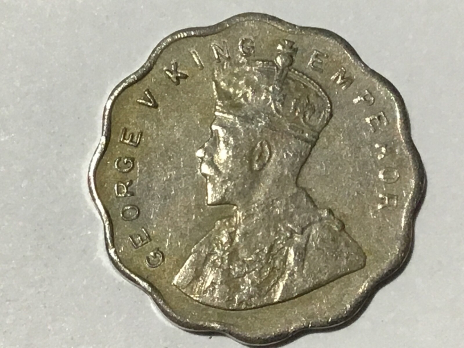 Picture 100 of 216
