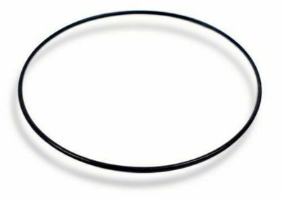 Casio O-Ring Dichtung 10194864 Für EFA-115D EFA-115L MTP-1290D WEF-115WC
