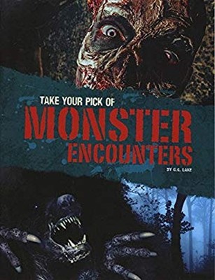 Take Your Pick of Monster Encounters Paperback G. G. Lake