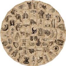 56 Pieces Sticker Cool Human Anatomy Physiology Vintage Cool Waterproof Water Re