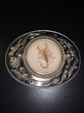 REAL SCORPION INCASED IN RESIN Western BELT BUCKLE