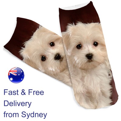 cute white puppy breeds