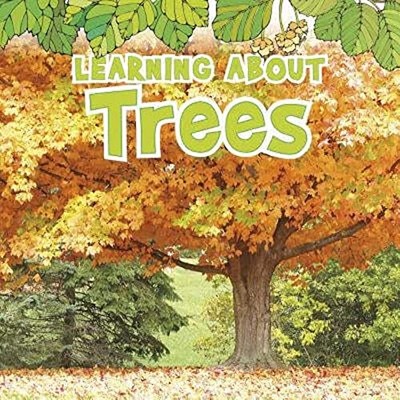Learning about Trees (Natural  - VERY GOOD