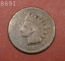  on The Hot Collector