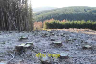 Foto 6x4 Baumstümpfe auf Tower Rig Mailingsland klare Fällungen sind gegangen so c2017