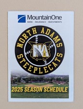 POCKET SCHEDULES - 2025 MINOR LEAGUE BASEBALL - CHOOSE TEAM ⚾️⚾️