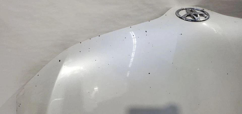 Capó 070 Blizzard blanco perla tiene astillas arañazos OEM 2009 2016 Toyota Venza Foto 2 de 4