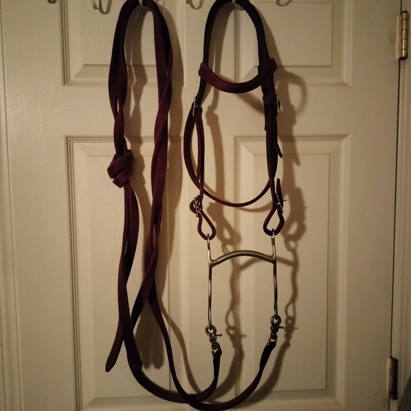 Nylon Burgundy  Bridle Set with Grazing bit and Matching Reins equine