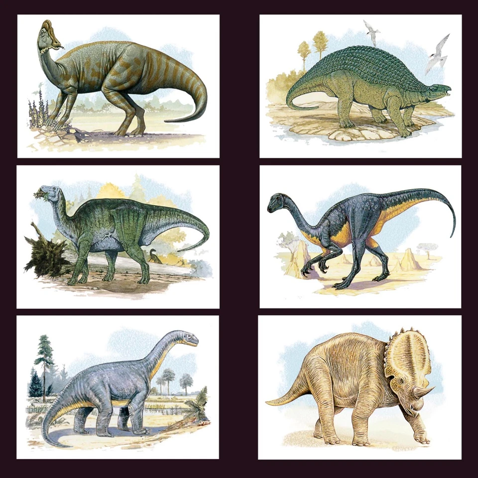 Tarjetas de papelería Big Dinosaurs MNH 2022 Sierra Leona 6 tarjetas papel 100 % reciclado Foto 2 de 4