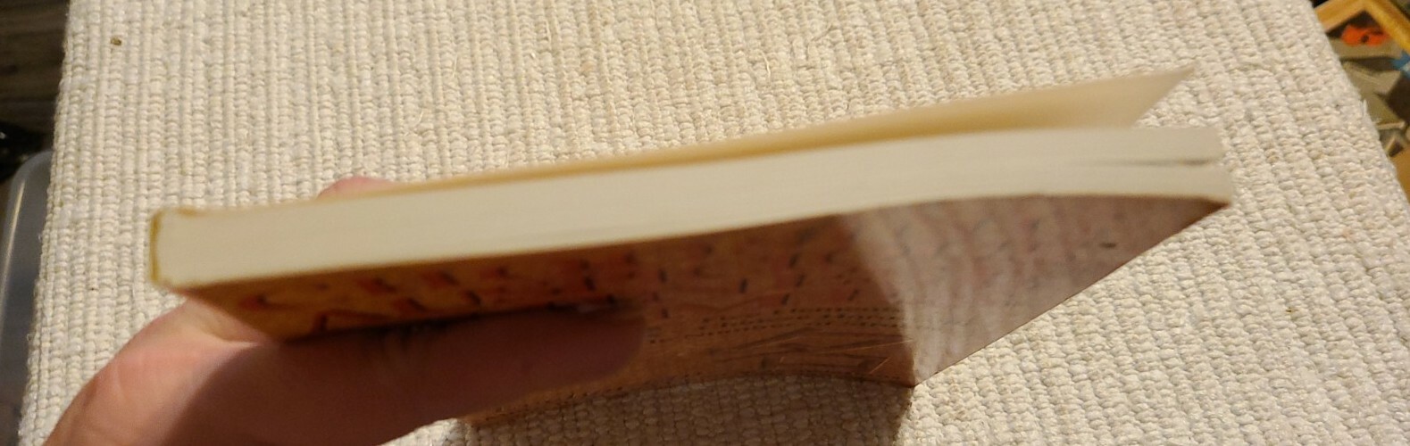 Choosing Auspicious Chinese Names Paperback By Lip, Dr Evelyn NEW