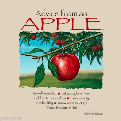 Apple T-shirt S M L XL Advice Earth Sun Moon Cotton NWT Farm Fruit New