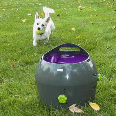 PetSafe Automatic Ball Launcher PTY17-15849 729849158498