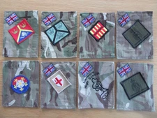 ACF / CCF / UOTC etc. Badged up MTP TRF 'Blanking panels'. Various Districts.