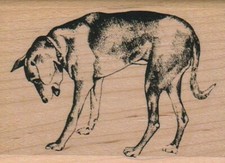 Dog Looking Down 2 1/4 x 3" Rubber Stamp, Dog Stamp