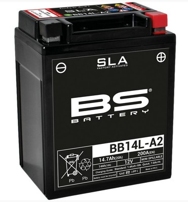 Wartungsfreie Batterie Triumph Masterblaster 955 SS 596T Bj 1996-1997