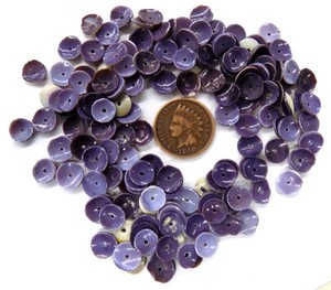RARE Shell Anulus Cohog Wampum  African Trade Native O 1560