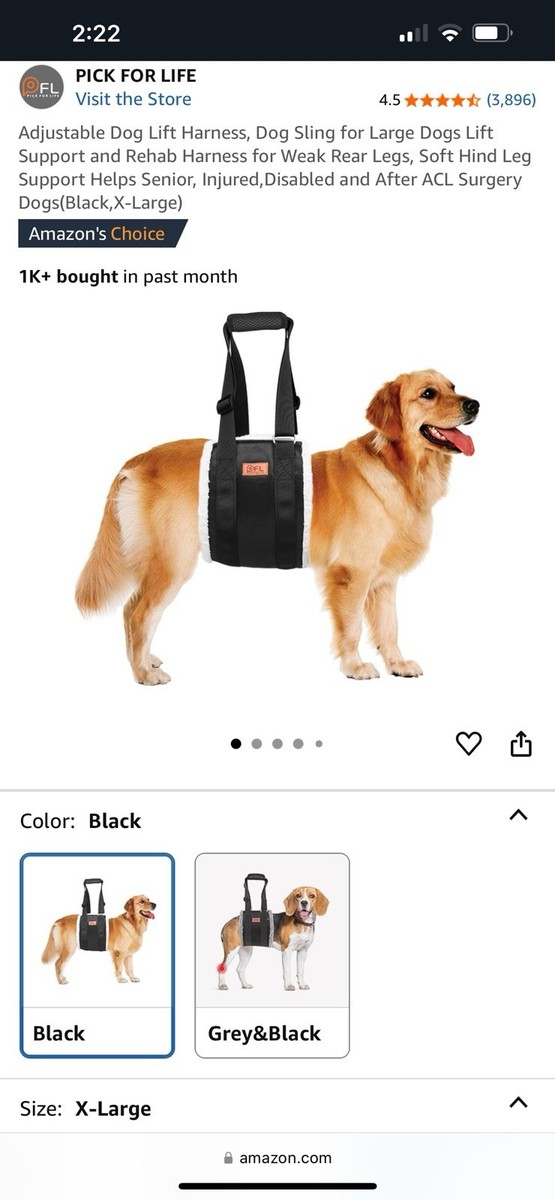 Acl Surgery Amazon Dog Support Sling Dog Knee Brace Cruciate