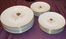 Rosenthal  China Germany Shadow Rose 56 Piece...