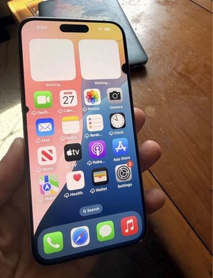 Apple iPhone 15 Pro Max 256GB White Titanium Unlocked Works Great