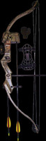 Sa Sports Youth - Bows 565 X12 Bison Compound Bow Set 20 on sale Sa Sports Youth - Bows 565 X12 Bison Compound Bow Set 20 on sale