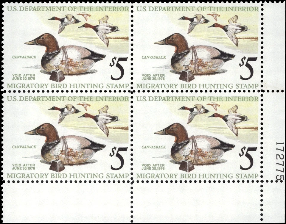 UNITED STATES 1975 Hunting Permit $5 Canvasbacks-Sc#RW42-Blk x4-MNH OG - Image 2 of 3