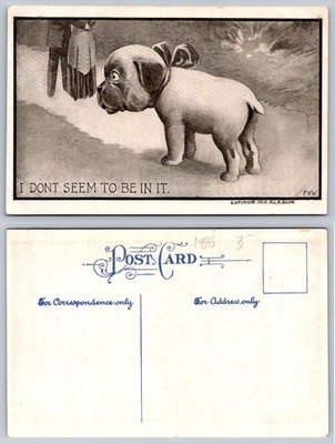 1910 Comic Puppy Dog Postcard ''I Don't Seem To Be In It'' F&W A Blue