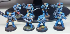 Pro painted W40K Kill Team Starter Set ULTRAMARINES