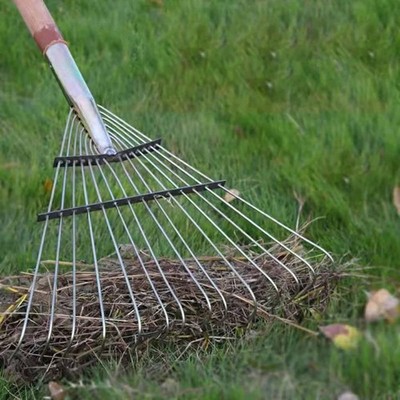 Garden Hand Rake Head Only Flower Bed Landscape Leaf Rake Head Replacement