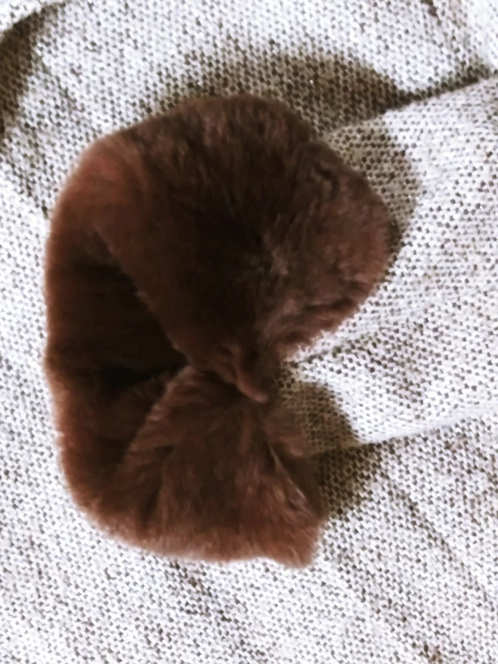 Via Spiga.Abrigo Mujer Talla 12.Color:Marfil Lur.38" largo.2 bolsillos. Foto 4 de 4