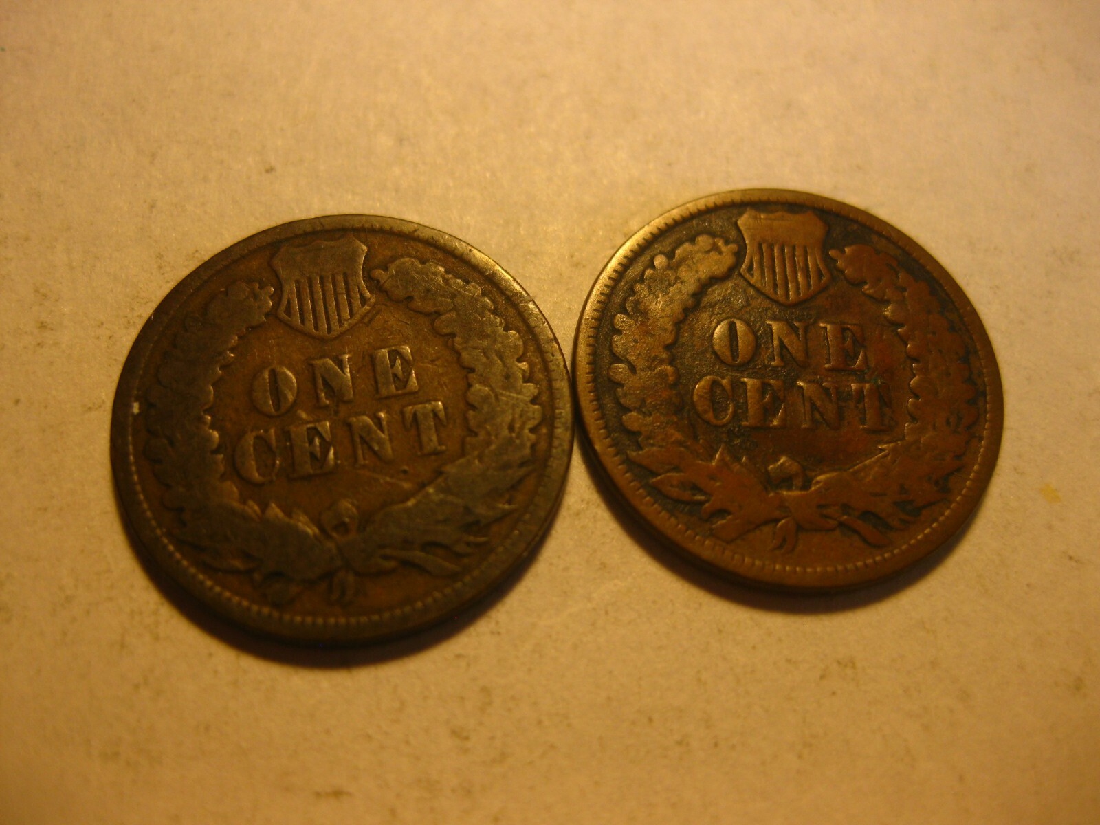 Picture 4 of 4