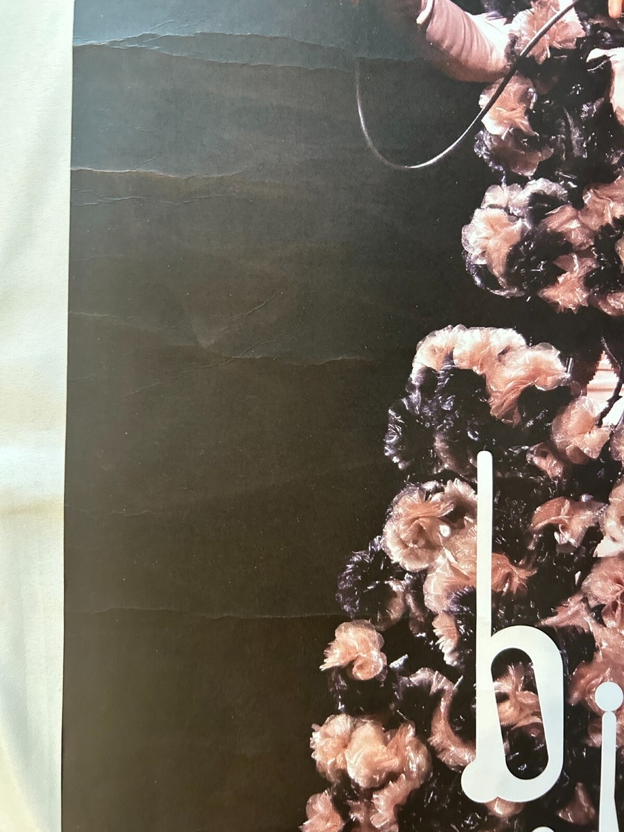 Bjork orchestral Tour 2024 Tokyo Limited Gig Poster 18x24in