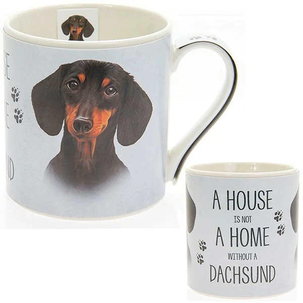 New boxed Dachshund Sausage Dog artistic gift fine china mug coffee cup Free P+P