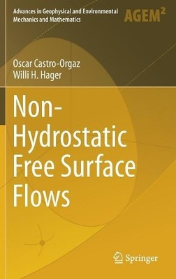 Non-Hydrostatic Free Surface Flows - 9783319479699
