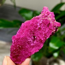 37G Natural Rough Red Corundum Phlogo Pit Mineral Spirits Ruby Raw Gemstone