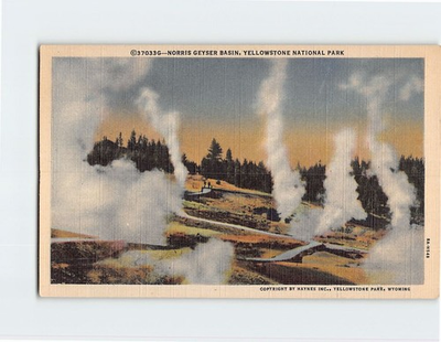 #ad #ad Postcard Norris Geyser Basin Yellowstone National Park Wyoming USA $20.97