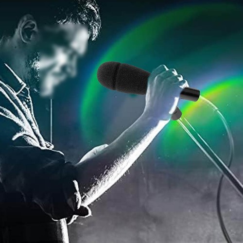 Professional Condenser Microphone for Capturing Vocal and Instrument Sounds - Picture 4 of 10