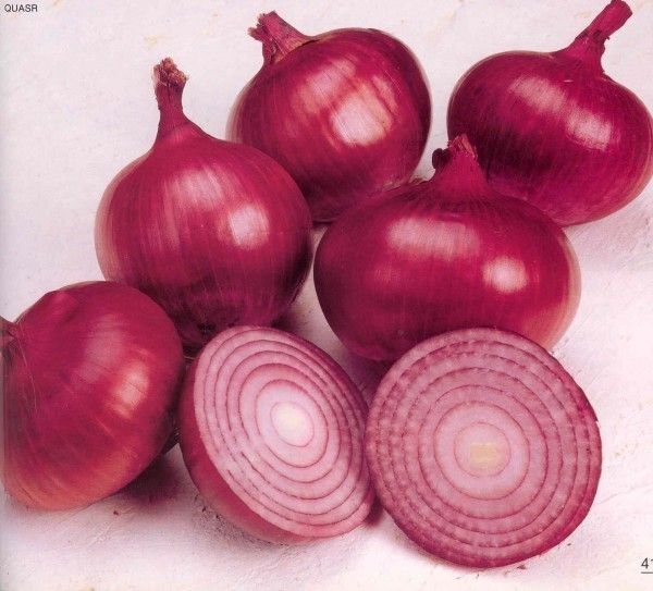 Seeds Onions Ruby Heirloom Vegetable Seed From Ukraine For Sale Online Ebay