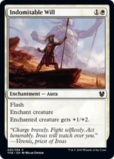 Indomitable Will~025/254~NM~Theros Beyond Death~MTG