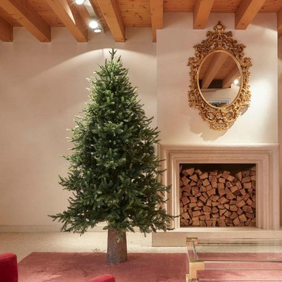 EDG Enzo De Gasperi Weihnachtsbaum Kiefer Luxus 210x142cm Realistisch Natural 33