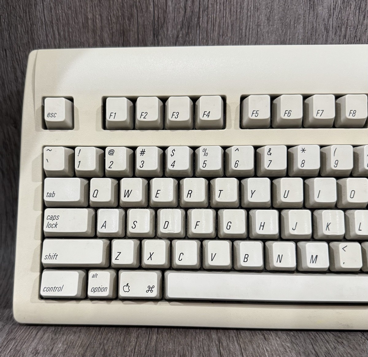s-l1200.jpg