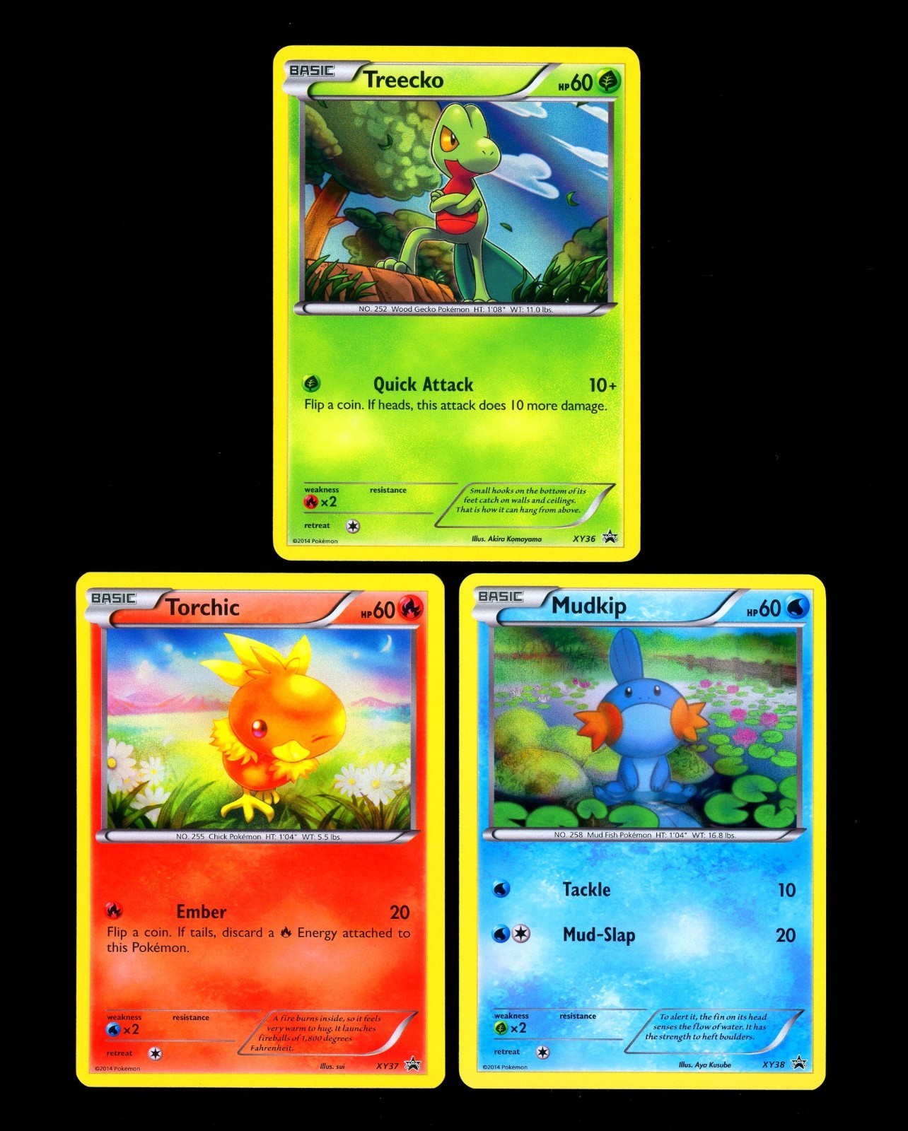 2014 Pokemon TREECKO XY36 TORCHIC XY37 MUDKIP XY38 Holo BLACK STAR PROMO Cards