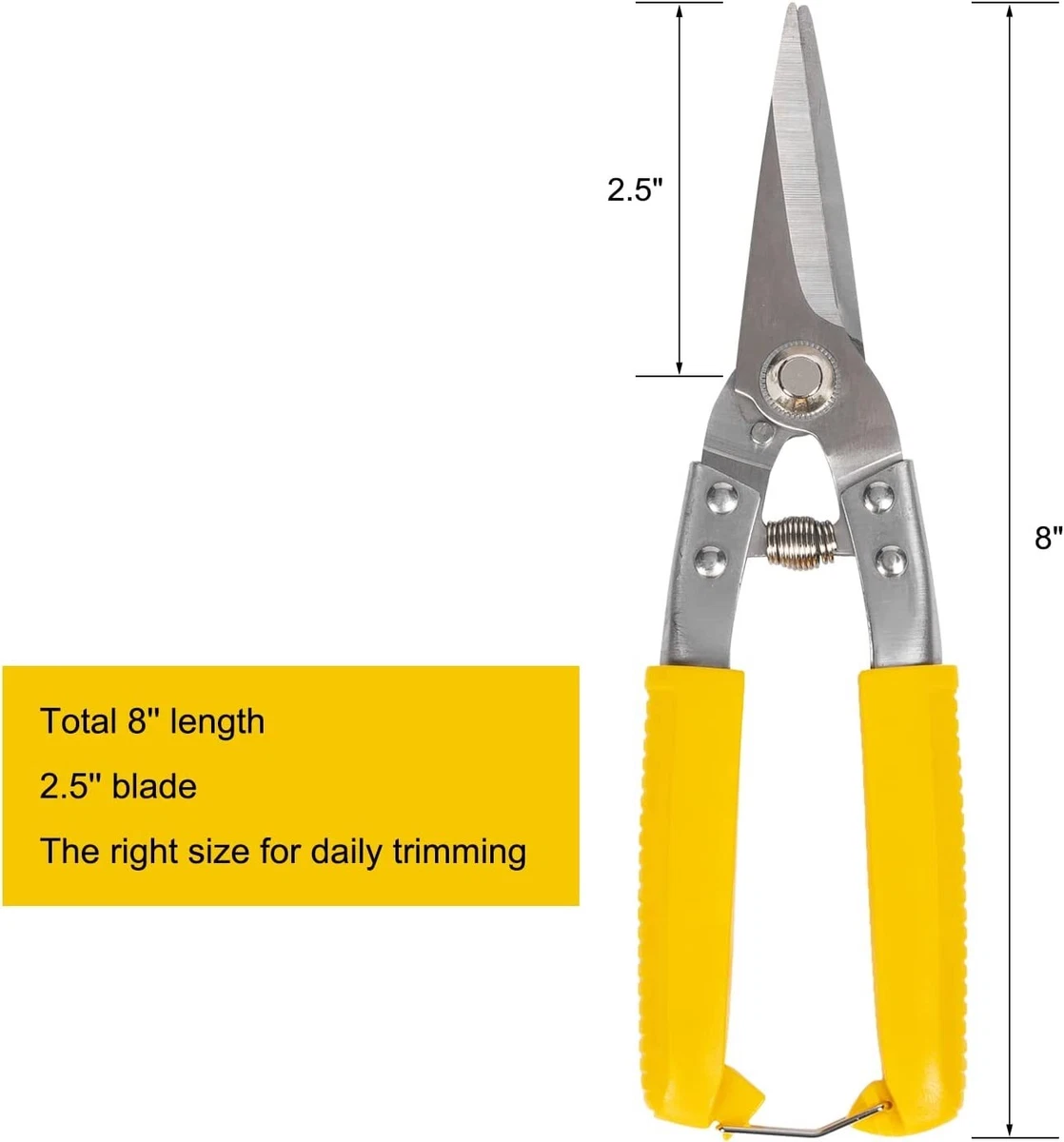 Discover more than 139 goat nail cutter latest noithatsi.vn
