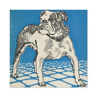 Jung Bulldog Lithograph Drawing Large Wall Art Print Square 24X24 In