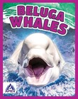Beluga Whales (Giants of the Sea) by Angela Lim